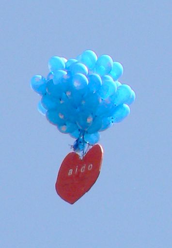img_040.jpg