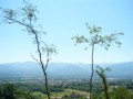 min_029.jpg