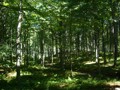 min_003.jpg