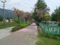 min_054.jpg