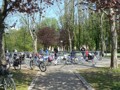 min_065.jpg