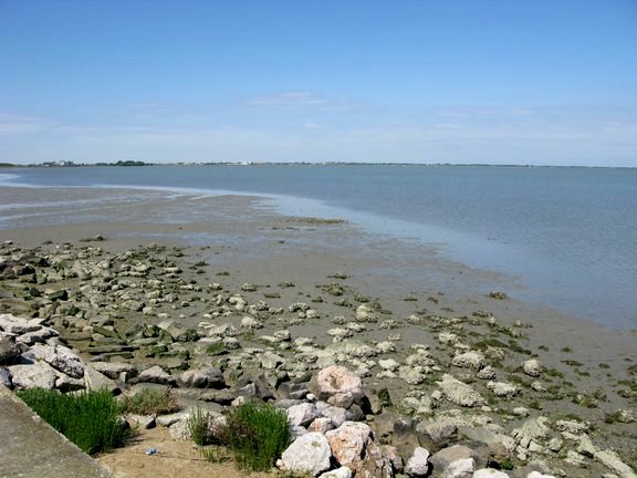 img_003.jpg