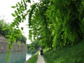 min_002.jpg
