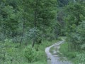 min_019.jpg