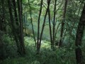 min_034.jpg
