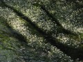 min_049.jpg
