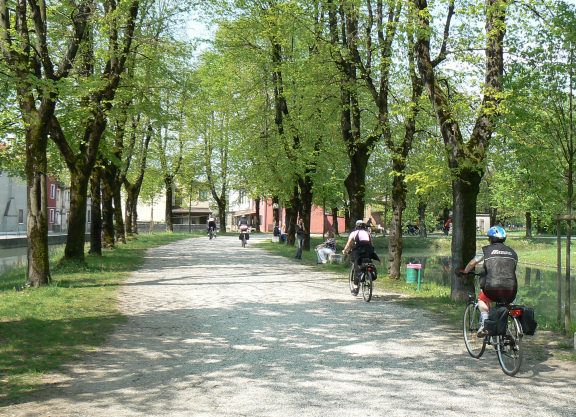img_008.jpg