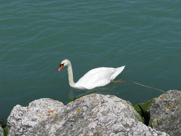 img_014.jpg