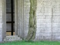 min_047.jpg