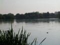 min_006.jpg