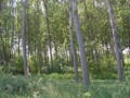 min_048.jpg