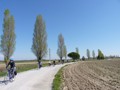 min_009.jpg