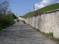 min_040.jpg