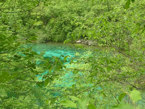 img_030.jpg