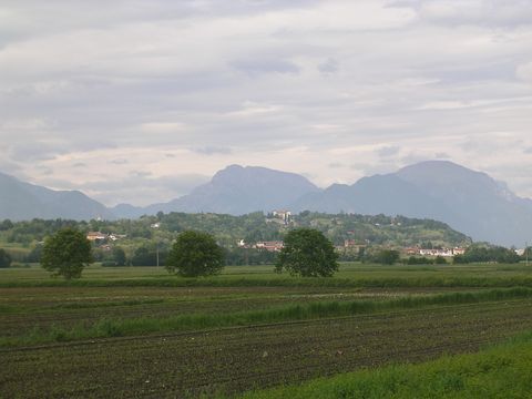 img_050.jpg