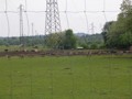 min_047.jpg