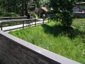 min_009.jpg