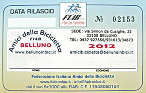 tessera 2011