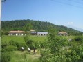 min_035.jpg